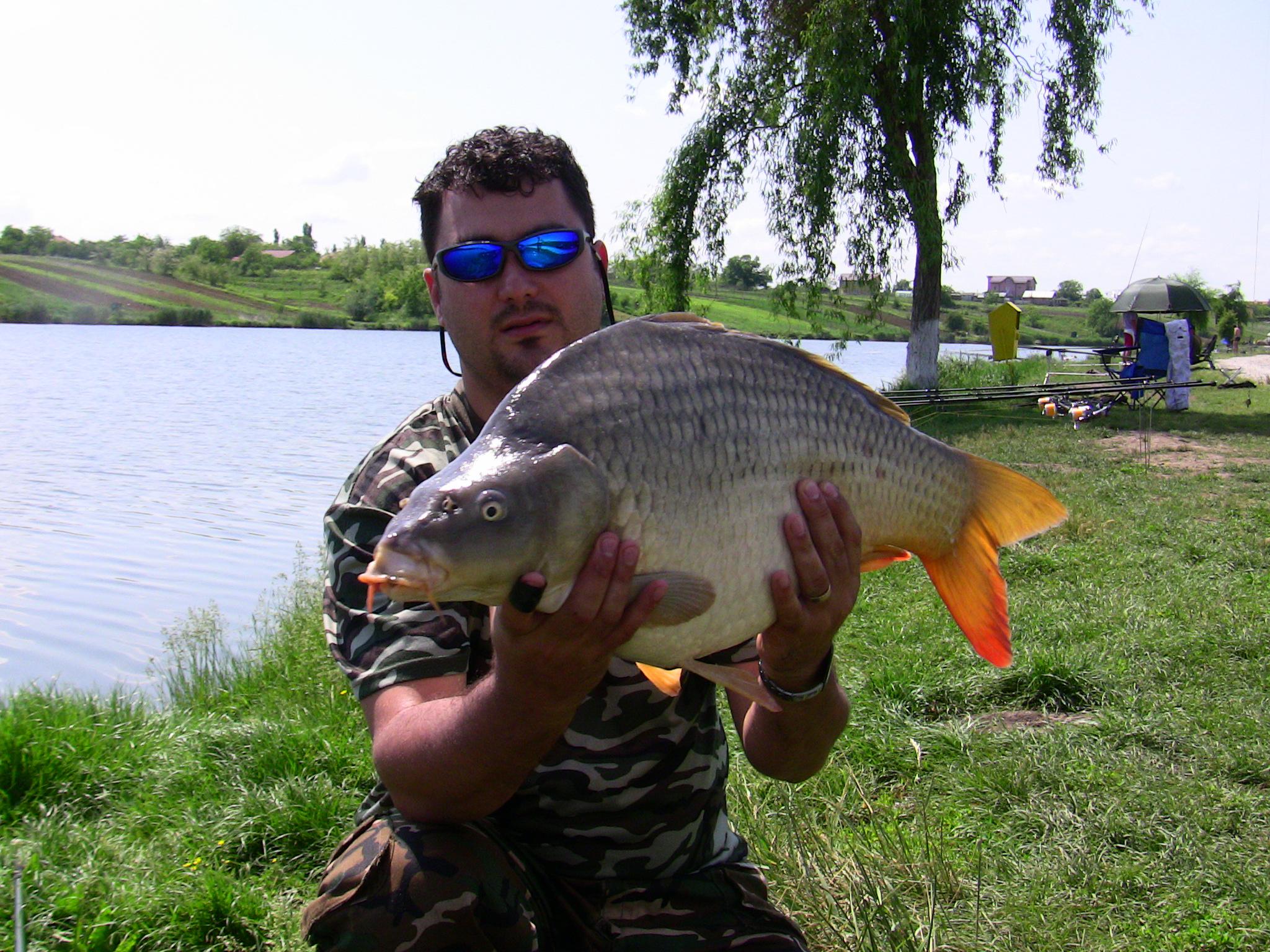 Moara Vlasiei 2012 - IMG_0127.JPG